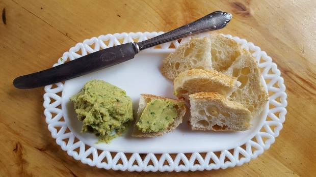 12752243_10204045311172415_469360876_o